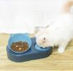 Portable Pet Bowl and Automatic Water Feeder Set, 2 in 1 Food Bowl Dish with Water Dispenser Bottle Tilted